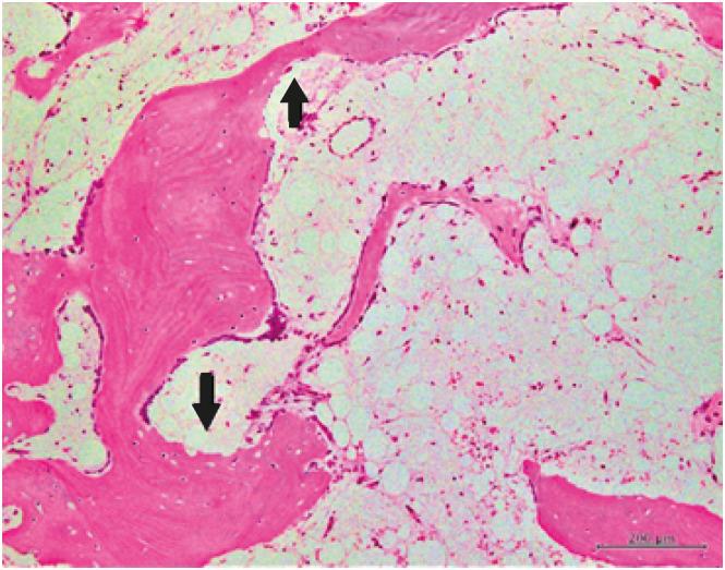 https://cdn.ncbi.nlm.nih.gov/pmc/blobs/de23/7961868/6e3b3305f95c/jkms-36-e65-g006.jpg