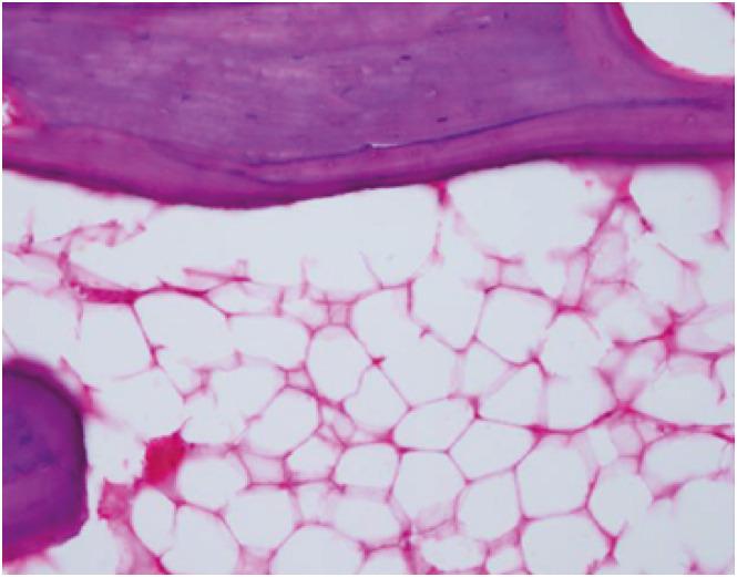 https://cdn.ncbi.nlm.nih.gov/pmc/blobs/de23/7961868/ad1455c3dd7c/jkms-36-e65-g002.jpg