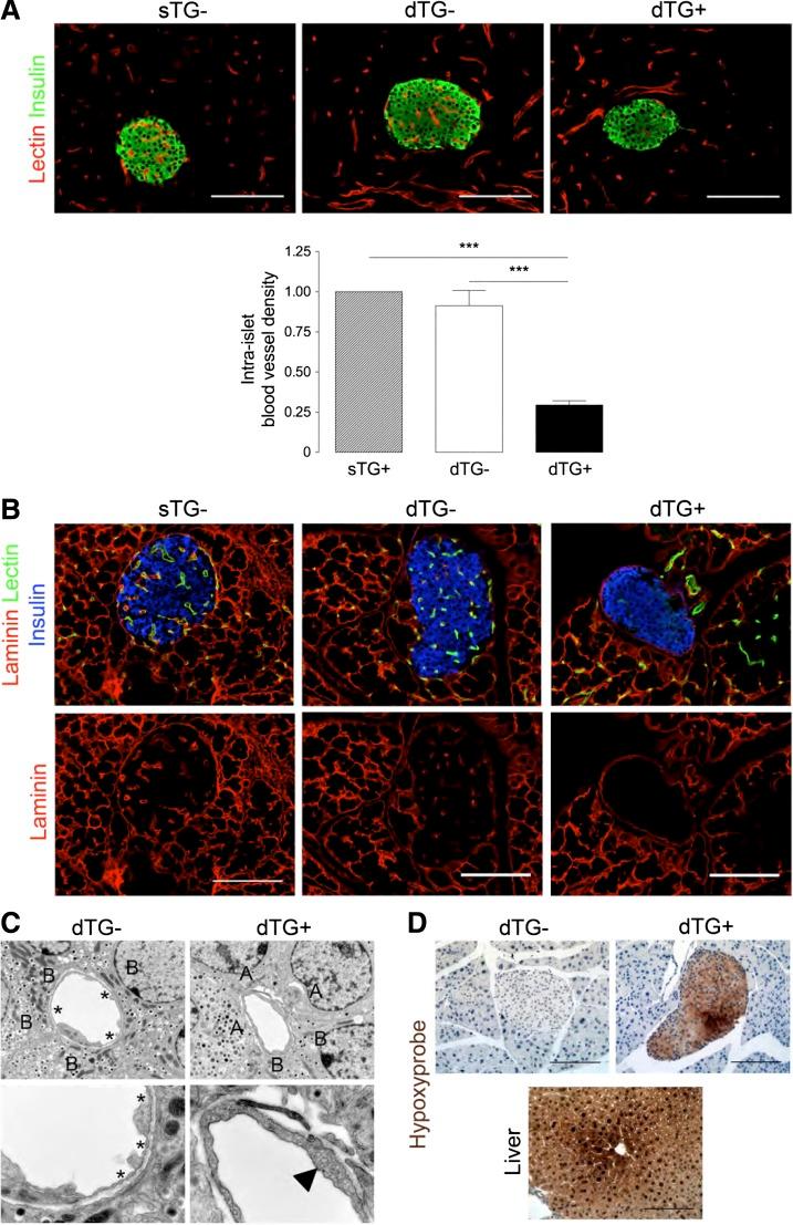 https://cdn.ncbi.nlm.nih.gov/pmc/blobs/de25/3837025/6f3e50479215/4165fig2.jpg