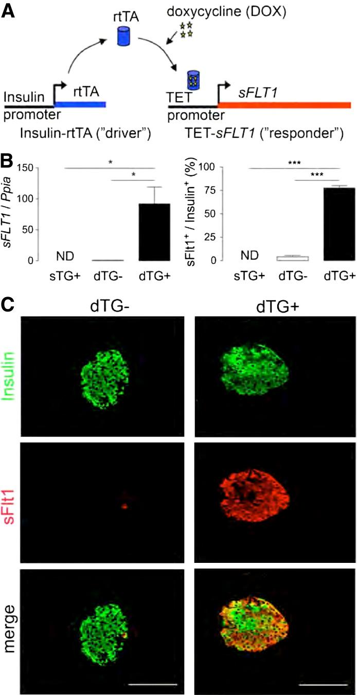 https://cdn.ncbi.nlm.nih.gov/pmc/blobs/de25/3837025/cb49c099523a/4165fig1.jpg