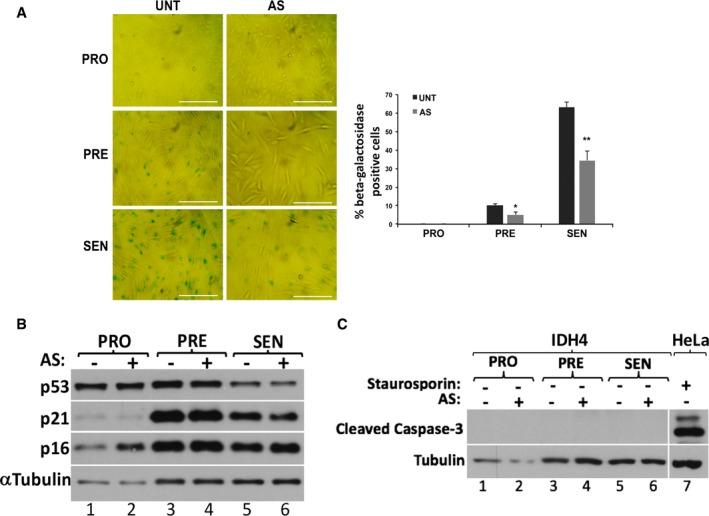 https://cdn.ncbi.nlm.nih.gov/pmc/blobs/de25/5934773/13cb20b51901/EMBR-19-e44722-g002.jpg