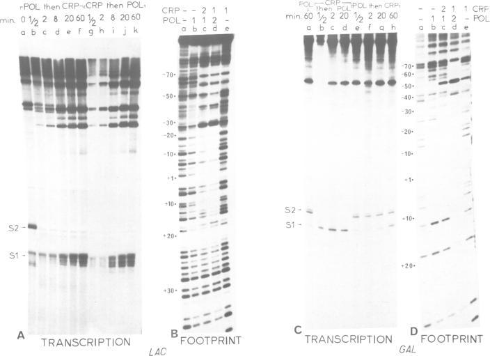 https://cdn.ncbi.nlm.nih.gov/pmc/blobs/de27/557295/60e7ab3aacd1/emboj00305-0050-a.jpg