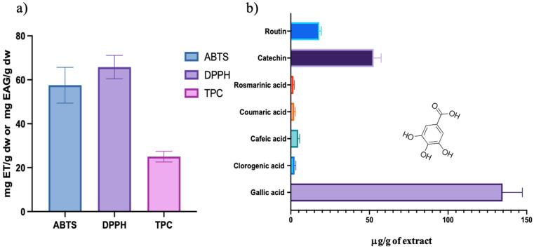 https://cdn.ncbi.nlm.nih.gov/pmc/blobs/de28/12347104/89d23ec96db2/ijms-26-07645-g001.jpg
