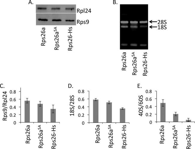 https://cdn.ncbi.nlm.nih.gov/pmc/blobs/de28/4863615/75d2ff021201/sph0011620320006.jpg