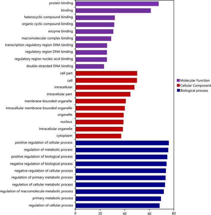 https://cdn.ncbi.nlm.nih.gov/pmc/blobs/de28/7216814/3287b9c695bd/MGG3-8-e1195-g005.jpg
