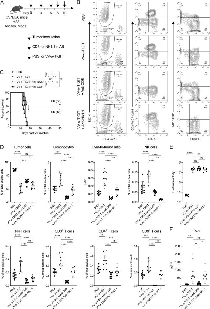 https://cdn.ncbi.nlm.nih.gov/pmc/blobs/de28/7878184/4789c3cb4fe4/gr7.jpg