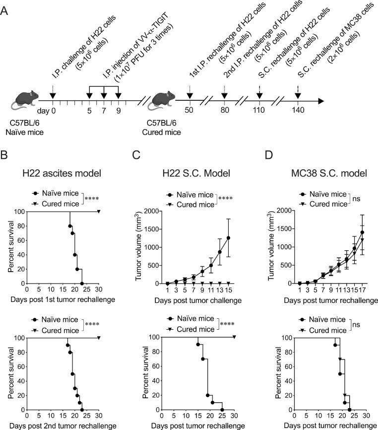https://cdn.ncbi.nlm.nih.gov/pmc/blobs/de28/7878184/48c40e260f7d/gr8.jpg