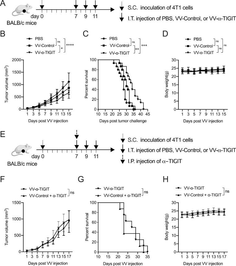 https://cdn.ncbi.nlm.nih.gov/pmc/blobs/de28/7878184/566742d98323/gr4.jpg