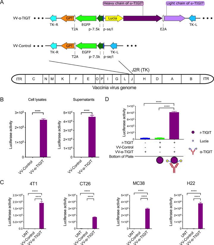 https://cdn.ncbi.nlm.nih.gov/pmc/blobs/de28/7878184/90d2dd7234c1/gr1.jpg