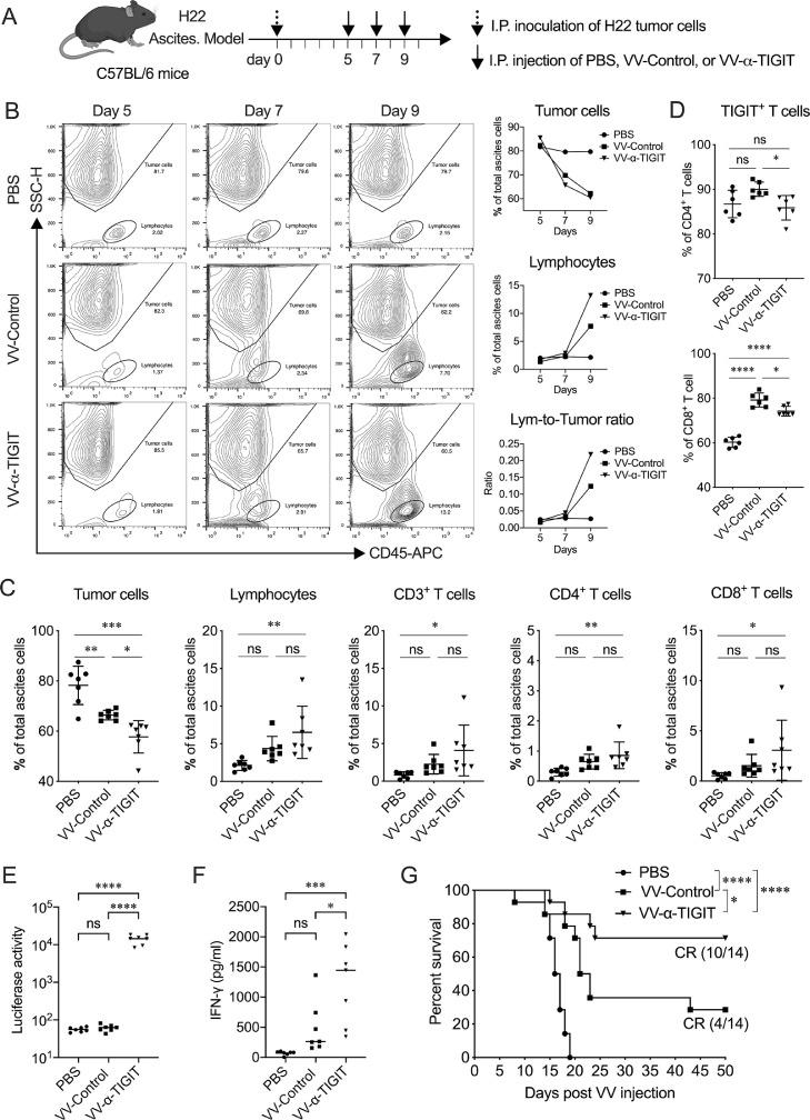 https://cdn.ncbi.nlm.nih.gov/pmc/blobs/de28/7878184/a2b824bab527/gr6.jpg
