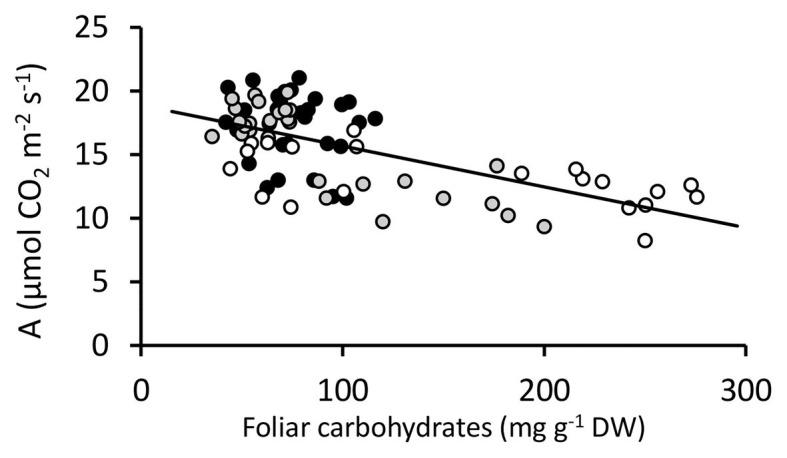 https://cdn.ncbi.nlm.nih.gov/pmc/blobs/de2a/8063613/5d501b580188/fpls-12-641822-g005.jpg