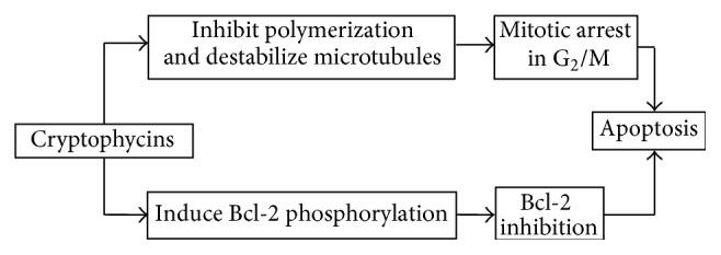 https://cdn.ncbi.nlm.nih.gov/pmc/blobs/de2b/4592889/48c17f7bfc68/ACP2015-690916.002.jpg