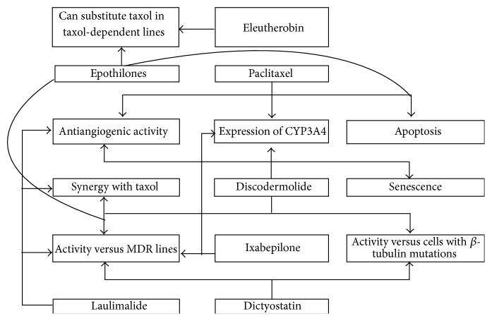 https://cdn.ncbi.nlm.nih.gov/pmc/blobs/de2b/4592889/4e5b778682e7/ACP2015-690916.005.jpg