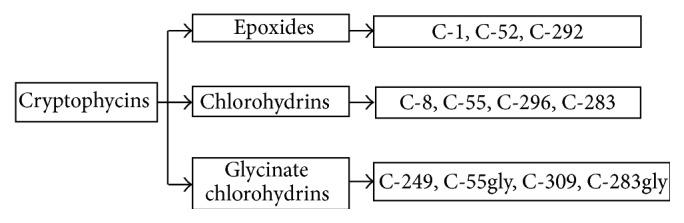 https://cdn.ncbi.nlm.nih.gov/pmc/blobs/de2b/4592889/dd747f2ef6ca/ACP2015-690916.003.jpg
