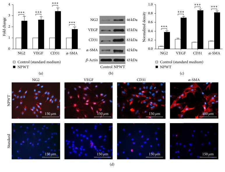 https://cdn.ncbi.nlm.nih.gov/pmc/blobs/de2c/5294348/3763396b4c85/BMRI2017-7920265.003.jpg