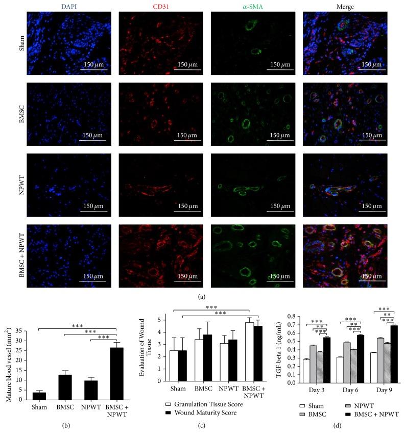 https://cdn.ncbi.nlm.nih.gov/pmc/blobs/de2c/5294348/37bf34f0fa82/BMRI2017-7920265.006.jpg