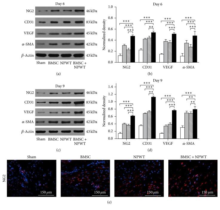https://cdn.ncbi.nlm.nih.gov/pmc/blobs/de2c/5294348/7d370add0e51/BMRI2017-7920265.007.jpg