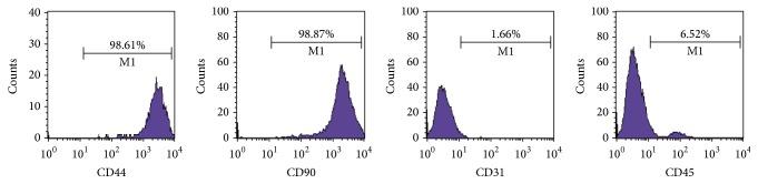 https://cdn.ncbi.nlm.nih.gov/pmc/blobs/de2c/5294348/ea8609716c9f/BMRI2017-7920265.001.jpg