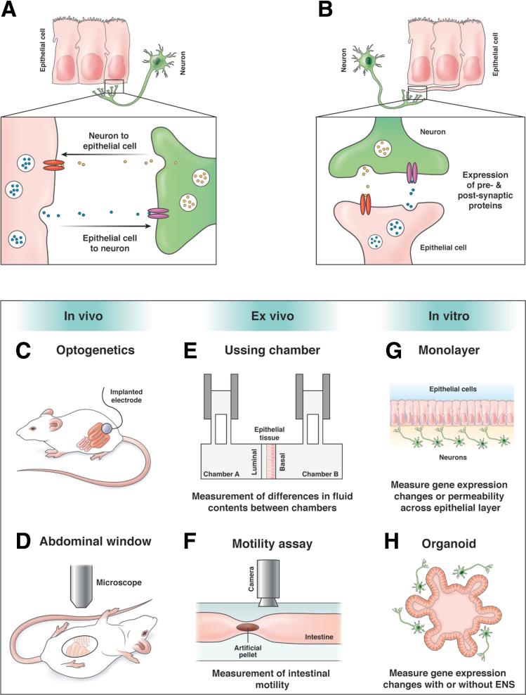 https://cdn.ncbi.nlm.nih.gov/pmc/blobs/de2c/6718943/9e39519d1fe8/gr2.jpg