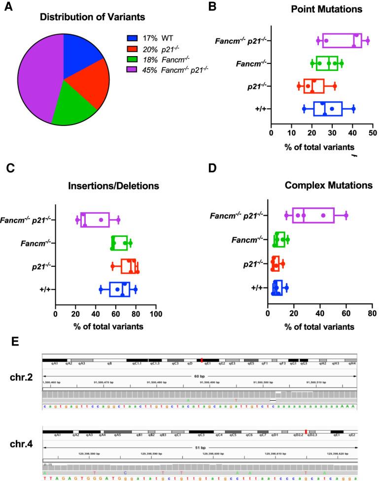 https://cdn.ncbi.nlm.nih.gov/pmc/blobs/de2d/7706705/f69899268be2/1637f05.jpg
