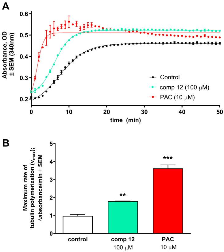 https://cdn.ncbi.nlm.nih.gov/pmc/blobs/de2f/11050183/949f0ec895b3/ijms-25-04274-g005.jpg