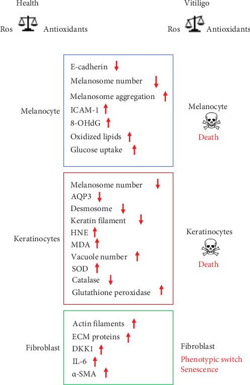 https://cdn.ncbi.nlm.nih.gov/pmc/blobs/de31/11671640/579b8bbecf7b/OMCL2024-3193670.002.jpg