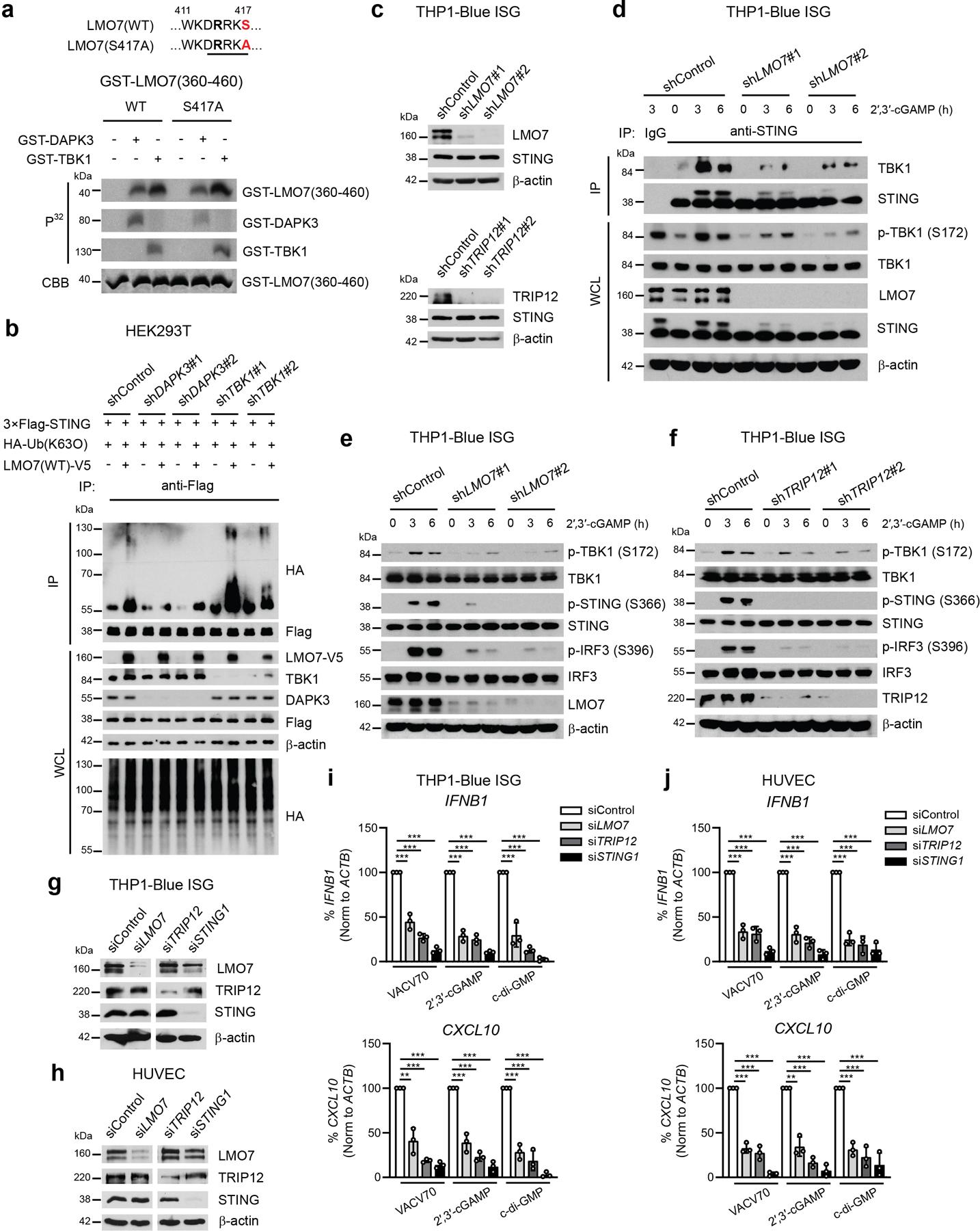 https://cdn.ncbi.nlm.nih.gov/pmc/blobs/de32/8300883/31539e79ddb6/nihms-1671262-f0016.jpg