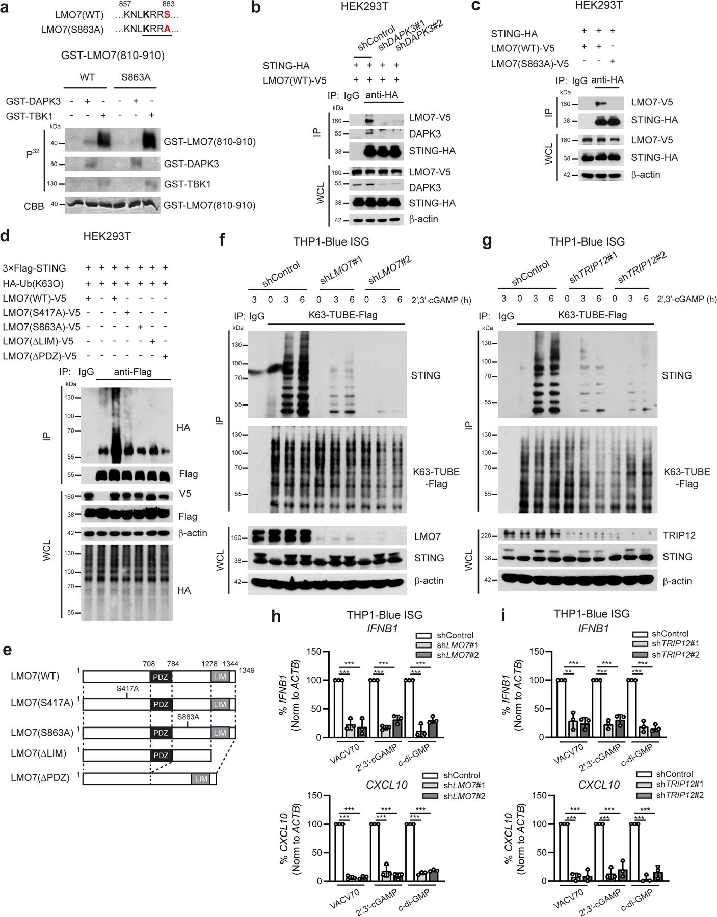 https://cdn.ncbi.nlm.nih.gov/pmc/blobs/de32/8300883/8d9785a067d6/nihms-1671262-f0007.jpg