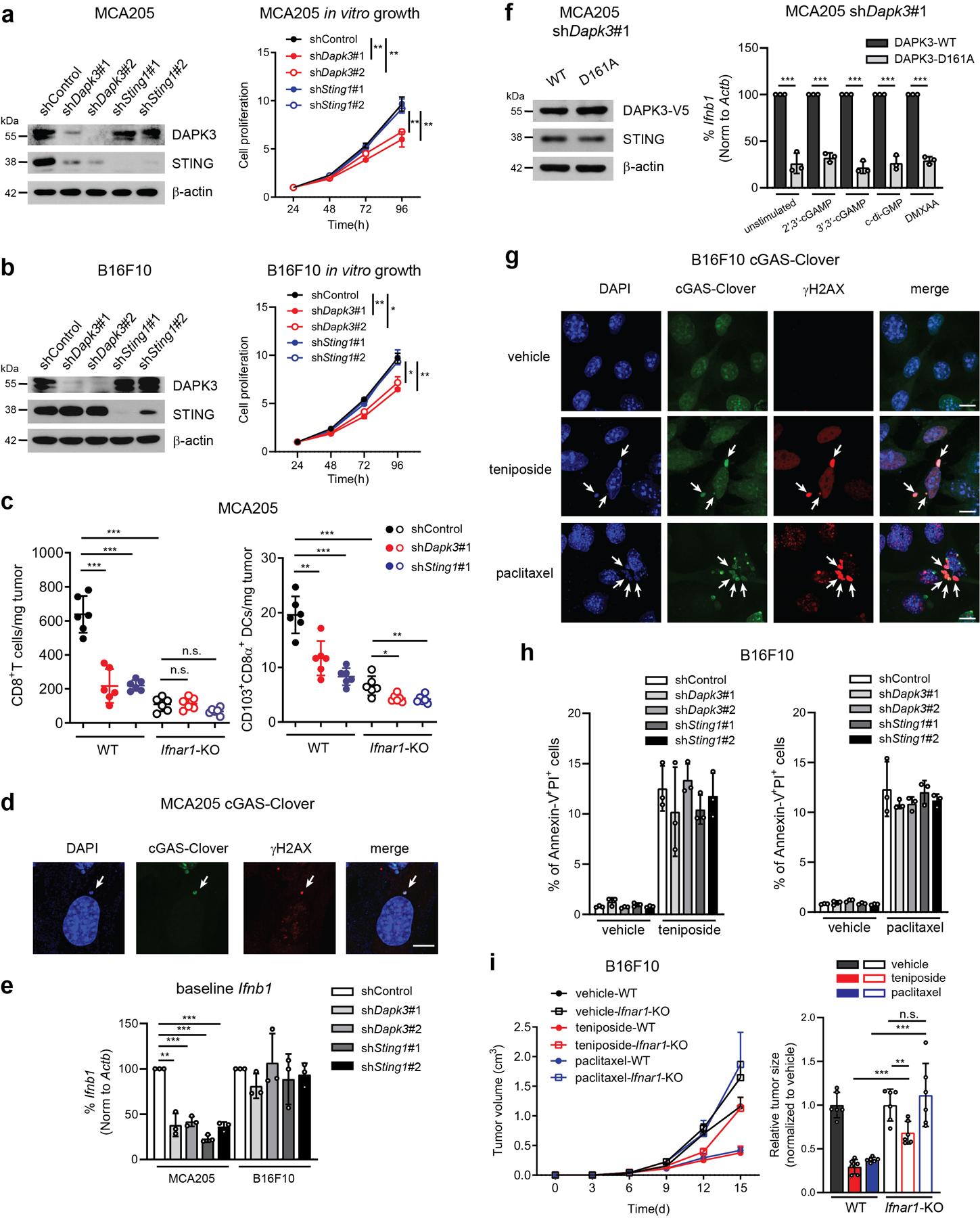 https://cdn.ncbi.nlm.nih.gov/pmc/blobs/de32/8300883/92b7a1ad1b43/nihms-1671262-f0010.jpg