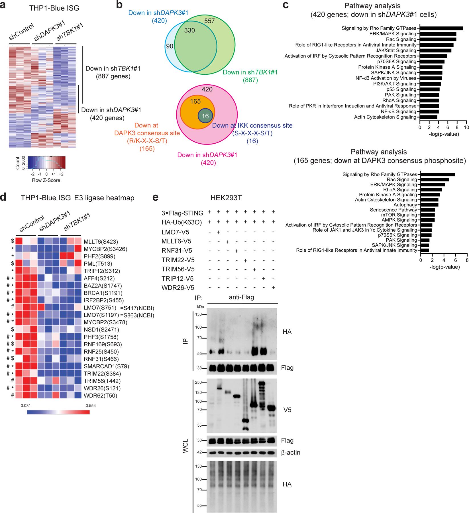 https://cdn.ncbi.nlm.nih.gov/pmc/blobs/de32/8300883/dc19027ce465/nihms-1671262-f0006.jpg