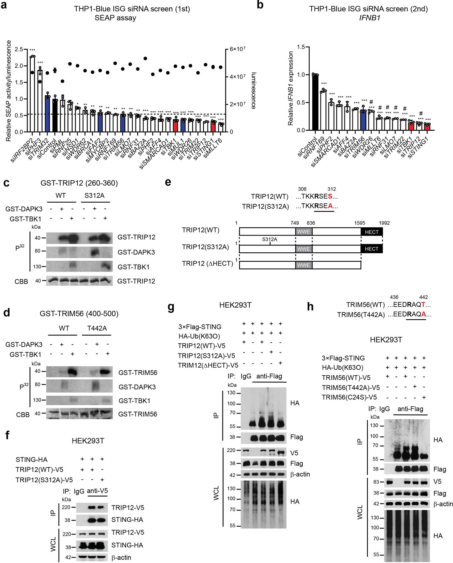 https://cdn.ncbi.nlm.nih.gov/pmc/blobs/de32/8300883/ddda851bb0b9/nihms-1671262-f0014.jpg