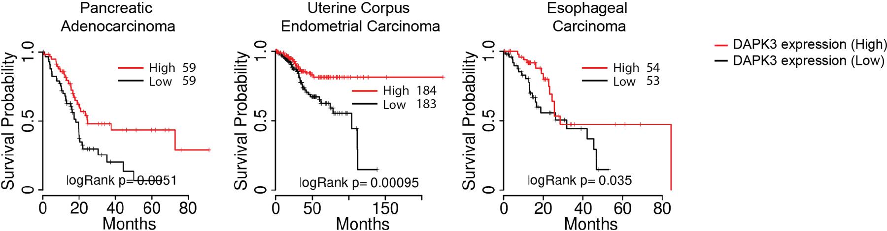 https://cdn.ncbi.nlm.nih.gov/pmc/blobs/de32/8300883/f85151e05896/nihms-1671262-f0009.jpg