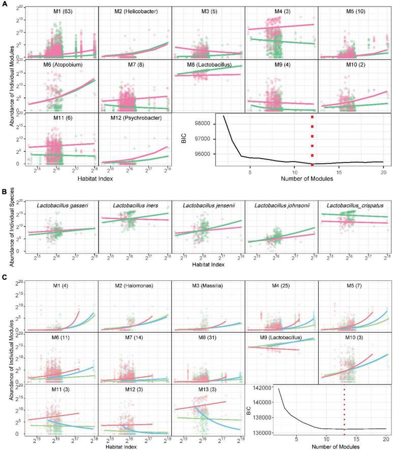 https://cdn.ncbi.nlm.nih.gov/pmc/blobs/de32/9631484/4b44a21a5766/fmicb-13-998813-g003.jpg