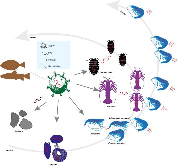 https://cdn.ncbi.nlm.nih.gov/pmc/blobs/de33/12287923/2918e7c53600/dsaf018_fig6.jpg