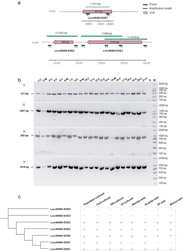 https://cdn.ncbi.nlm.nih.gov/pmc/blobs/de33/12287923/35f481ab2fa2/dsaf018_fig3.jpg