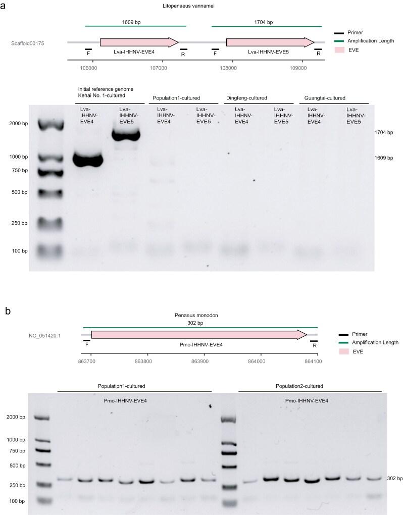 https://cdn.ncbi.nlm.nih.gov/pmc/blobs/de33/12287923/d82399ed3848/dsaf018_fig4.jpg