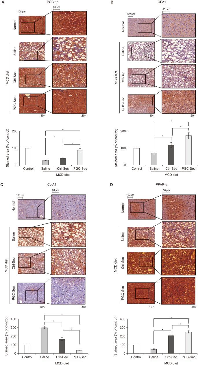 https://cdn.ncbi.nlm.nih.gov/pmc/blobs/de35/10902621/42510e49f7a9/astr-106-155-g005.jpg