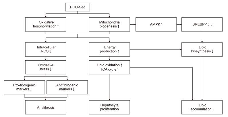 https://cdn.ncbi.nlm.nih.gov/pmc/blobs/de35/10902621/4e27f61f73b0/astr-106-155-g006.jpg