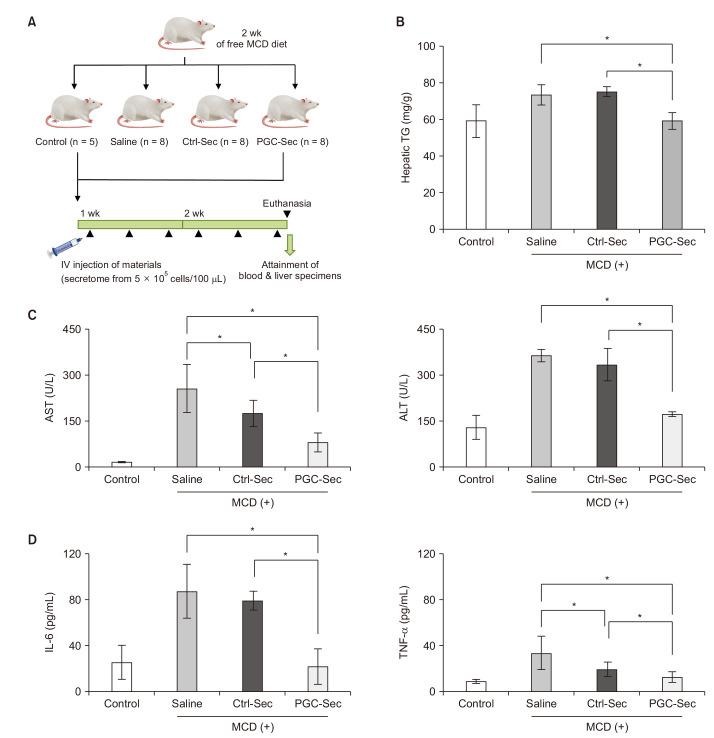 https://cdn.ncbi.nlm.nih.gov/pmc/blobs/de35/10902621/cf5576a16560/astr-106-155-g003.jpg