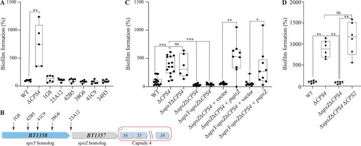 https://cdn.ncbi.nlm.nih.gov/pmc/blobs/de35/7315117/866b57187d69/mBio.00729-20-f0002.jpg