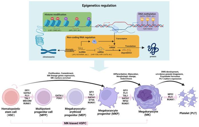 https://cdn.ncbi.nlm.nih.gov/pmc/blobs/de37/11443398/07b55a6cd888/1093125.fig1.jpg