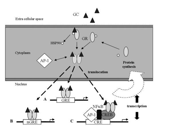 https://cdn.ncbi.nlm.nih.gov/pmc/blobs/de37/2376076/c8c204d79960/tcrm0305-771-01.jpg