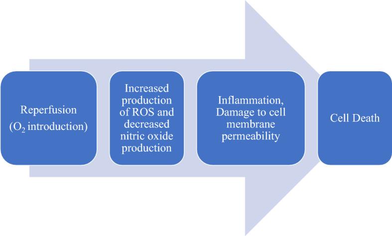 https://cdn.ncbi.nlm.nih.gov/pmc/blobs/de3a/10980643/9036ad87bd5b/11033_2024_9261_Fig2_HTML.jpg
