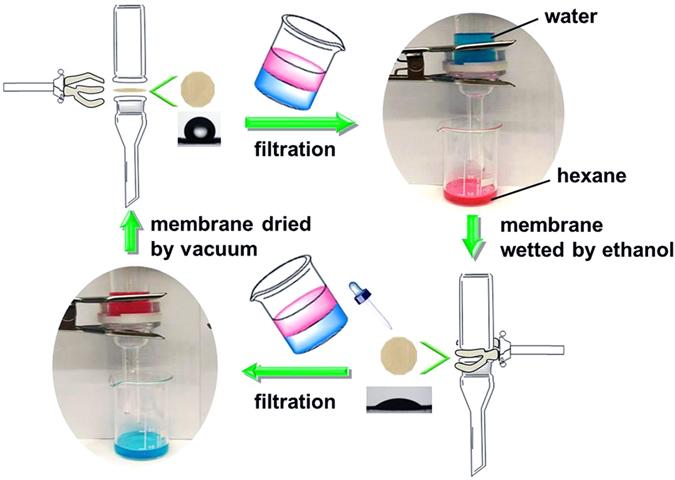 https://cdn.ncbi.nlm.nih.gov/pmc/blobs/de3d/5465062/90edba402862/41598_2017_3265_Fig4_HTML.jpg