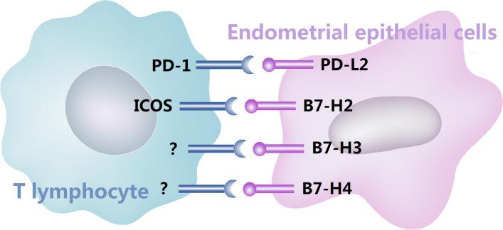https://cdn.ncbi.nlm.nih.gov/pmc/blobs/de3e/8293536/e28f4b59c15e/12958_2021_800_Fig5_HTML.jpg