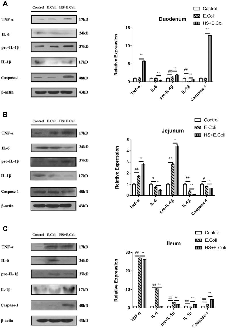 https://cdn.ncbi.nlm.nih.gov/pmc/blobs/de3f/8010704/01c4fdced36d/gr4.jpg