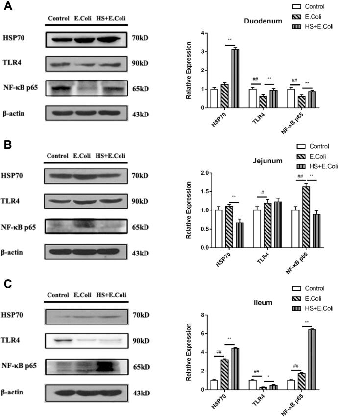 https://cdn.ncbi.nlm.nih.gov/pmc/blobs/de3f/8010704/377db85aeef3/gr6.jpg