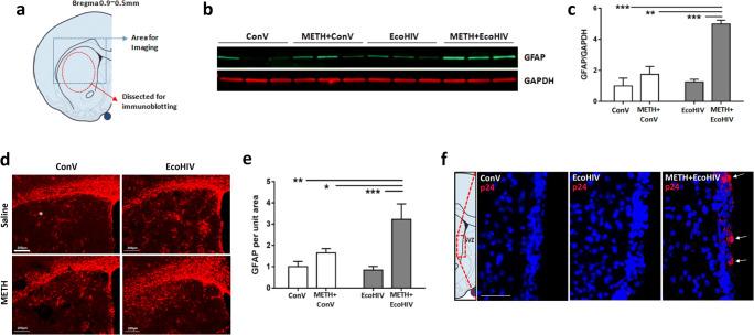 https://cdn.ncbi.nlm.nih.gov/pmc/blobs/de40/8599226/b611ba9b3fbc/12035_2021_2407_Fig1_HTML.jpg