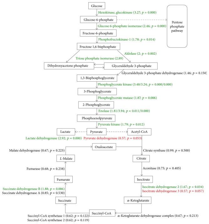 https://cdn.ncbi.nlm.nih.gov/pmc/blobs/de41/4572459/7d4ff8ba5a7a/IJPRO2015-678527.003.jpg