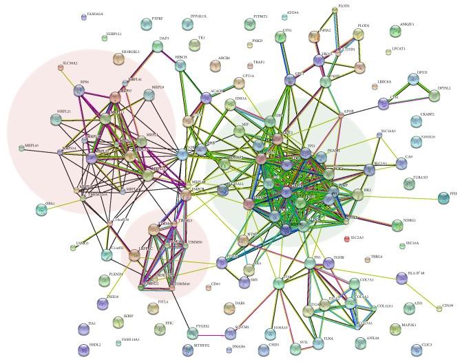 https://cdn.ncbi.nlm.nih.gov/pmc/blobs/de41/4572459/8bedebfe346b/IJPRO2015-678527.002.jpg
